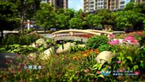 地(dì)産動畫(huà)：順吉秀水(shuǐ)城(chéng)邦