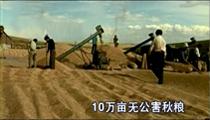 彙報(bào)片：竹鄉(xiāng)勁吹興農(nóng)業(yè)